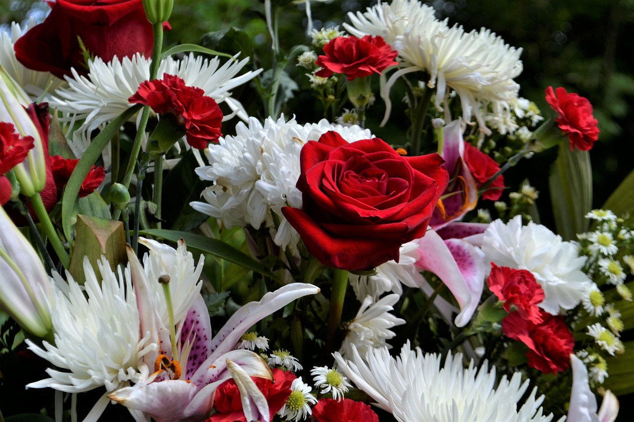 אינפוגרפיקה המדגישה את המשמעות התרבותית של פרחי הלוויה בתרבויות שונות